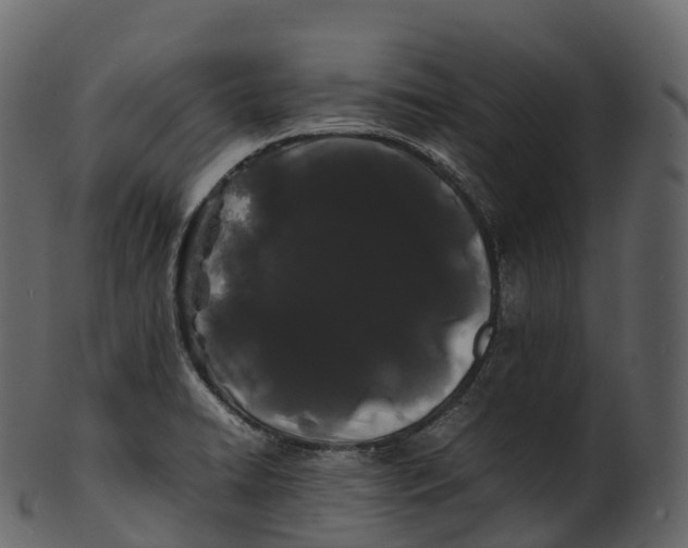 X0000100491422200807031905