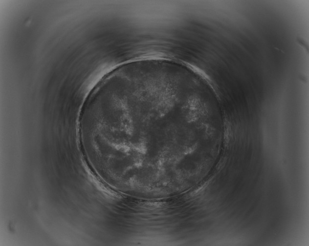 X0000100491423200807031905