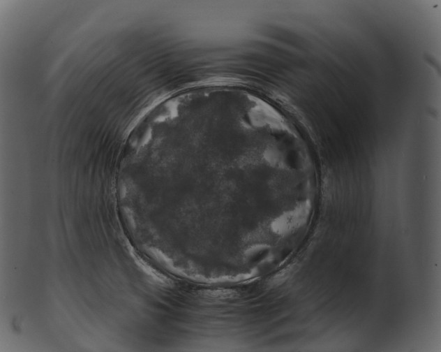 X0000100491425200807031905