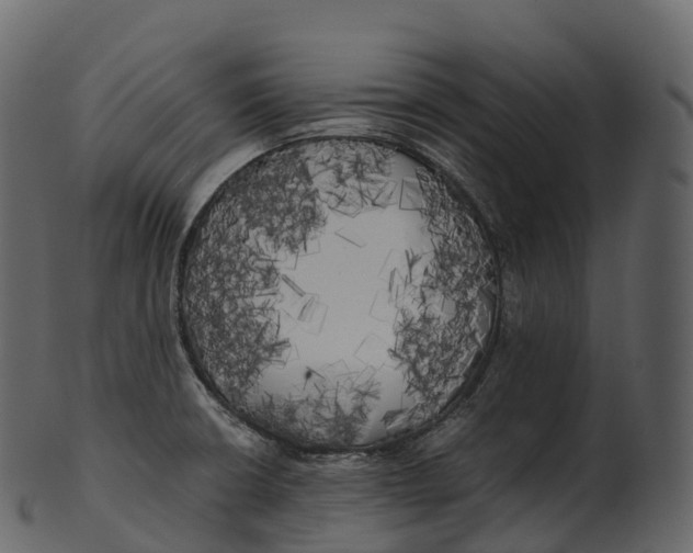 X0000100491426200807031905