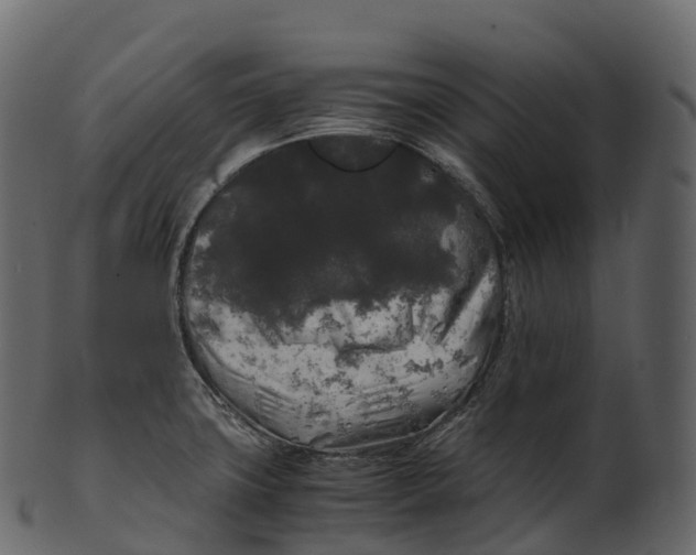 X0000100491427200807031905