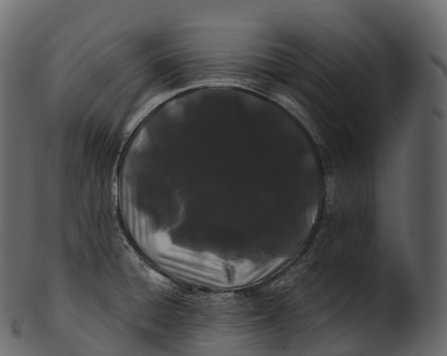 X0000100491428200807031905