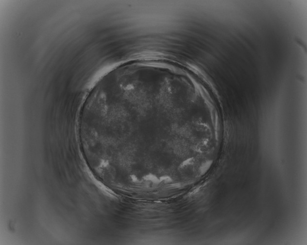 X0000100491429200807031906