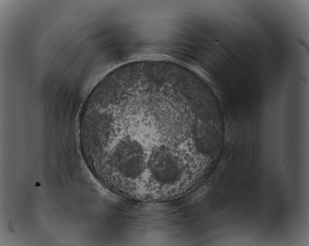 X0000100491430200807031906