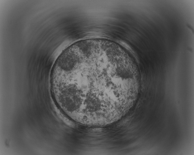 X0000100491431200807031906