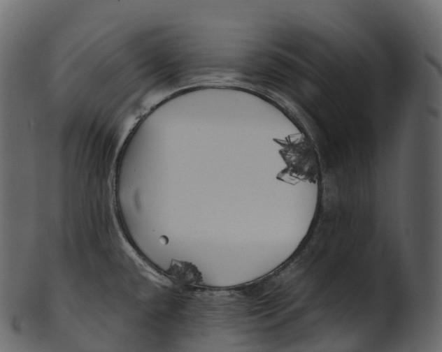 X0000100491432200807031906