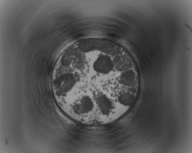 X0000100491433200807031906