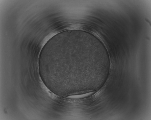 X0000100491434200807031906