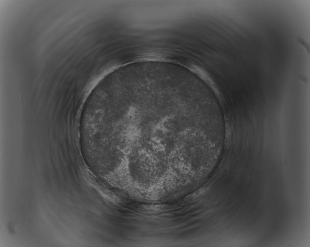 X0000100491435200807031906