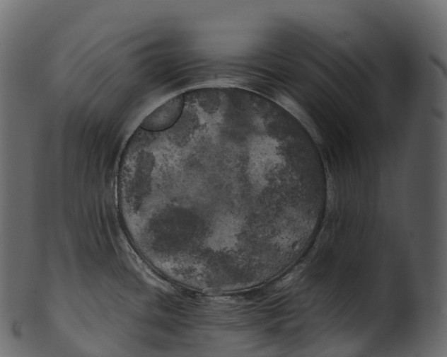 X0000100491436200807031906