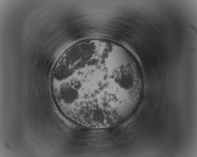 X0000100491437200807031906