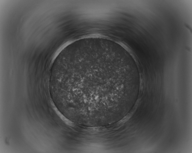 X0000100491438200807031906