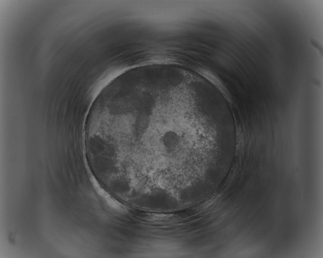 X0000100491439200807031906