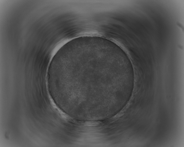 X0000100491440200807031906