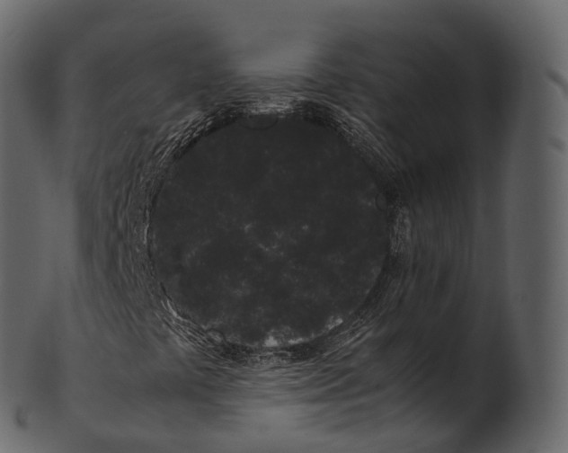 X0000100491441200807031905