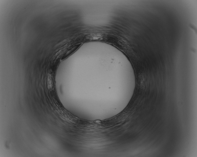 X0000100491442200807031905