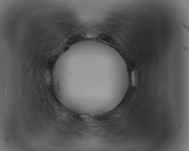 X0000100491443200807031905