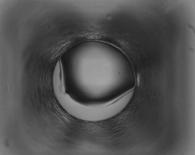 X0000100491444200807031905