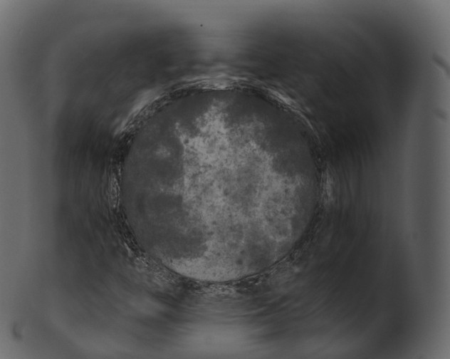 X0000100491446200807031905