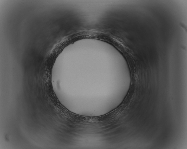 X0000100491447200807031905