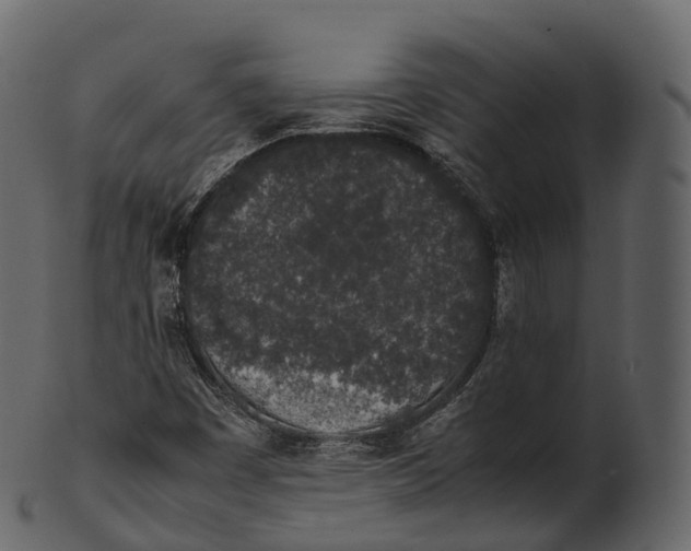 X0000100491449200807031905