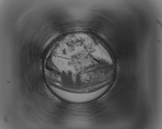 X0000100491450200807031905