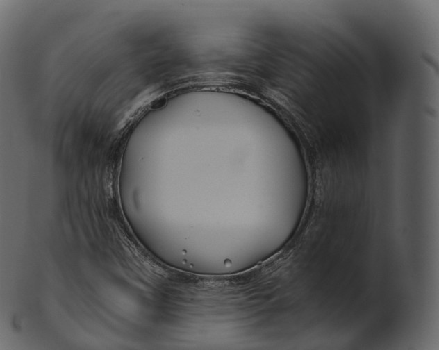 X0000100491451200807031905