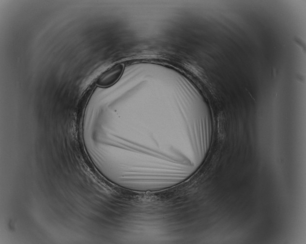 X0000100491452200807031905