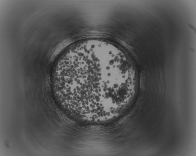 X0000100491453200807031905