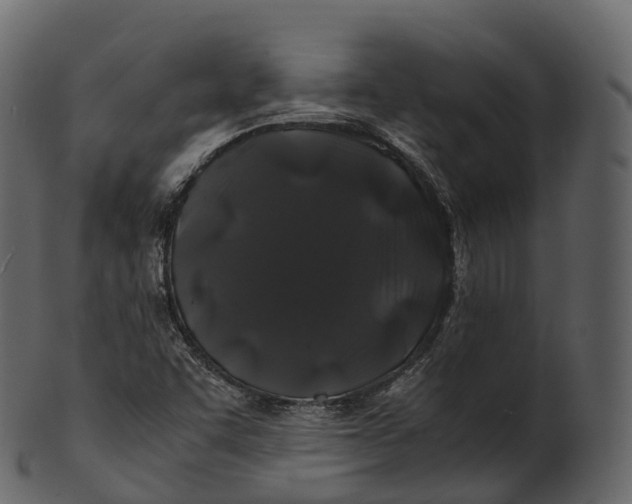 X0000100491455200807031905