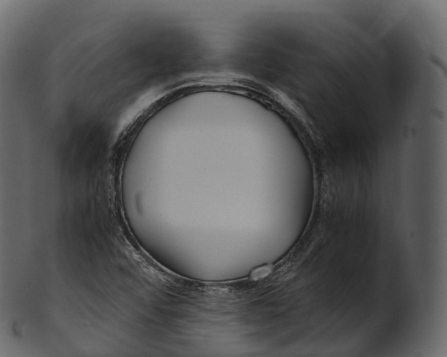 X0000100491456200807031905