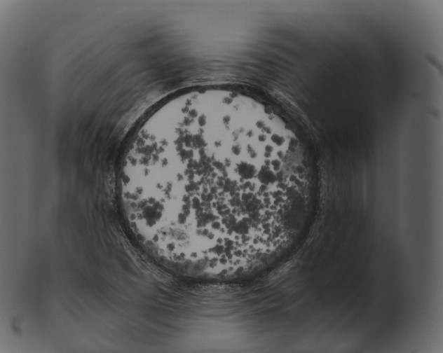 X0000100491457200807031905