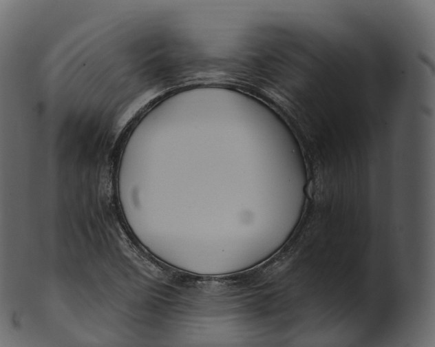 X0000100491458200807031905