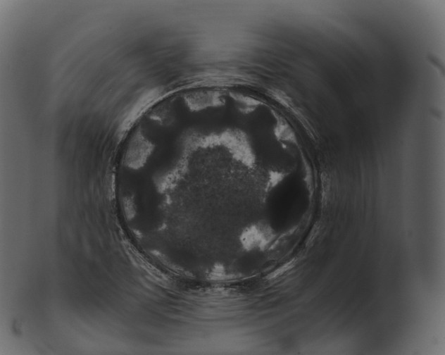 X0000100491459200807031905