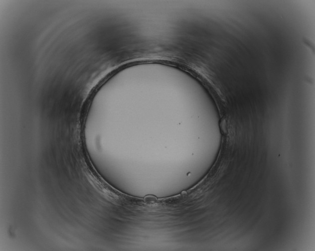 X0000100491460200807031905