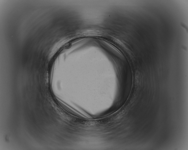 X0000100491461200807031905