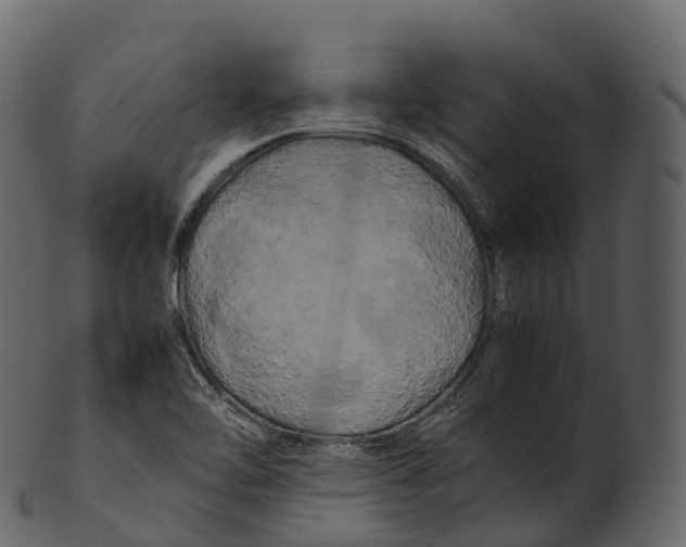 X0000100491462200807031905