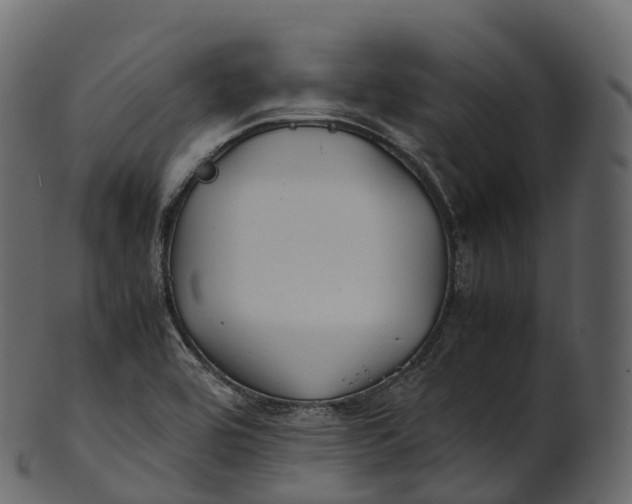 X0000100491464200807031904