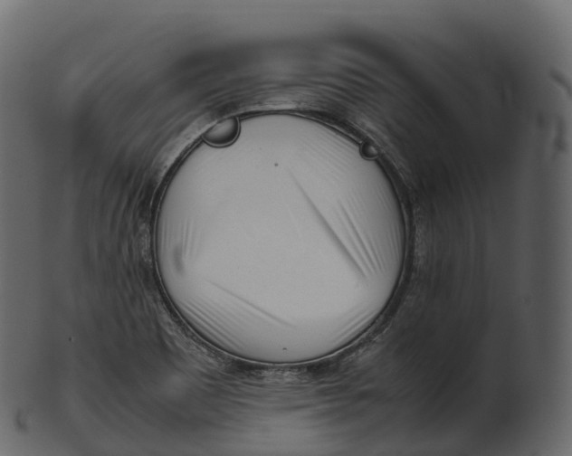 X0000100491465200807031904