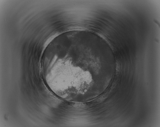 X0000100491466200807031904