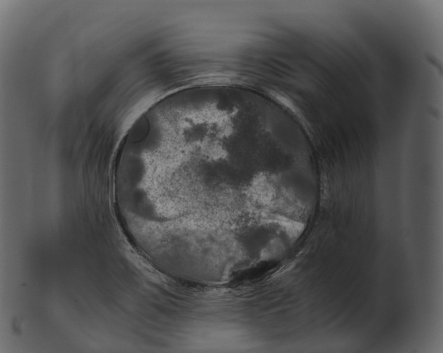 X0000100491467200807031904