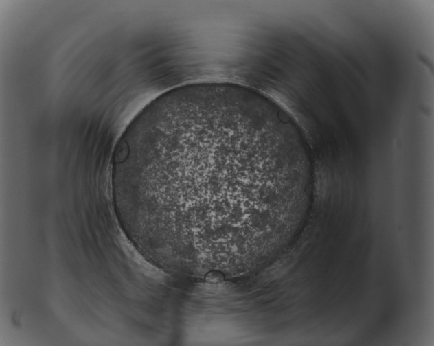 X0000100491468200807031904