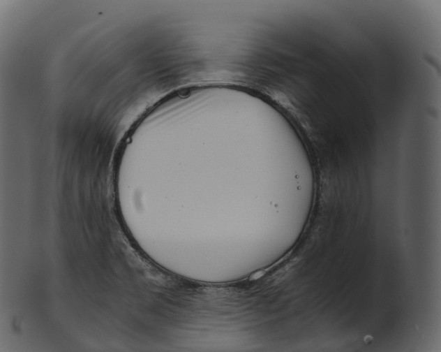 X0000100491469200807031904