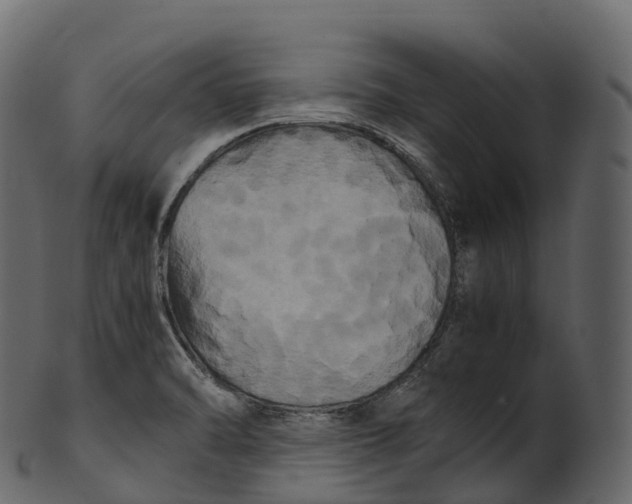 X0000100491470200807031904