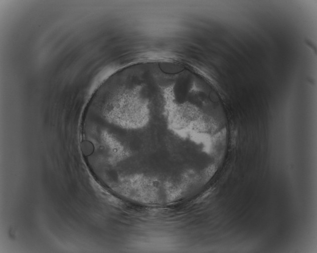 X0000100491471200807031904