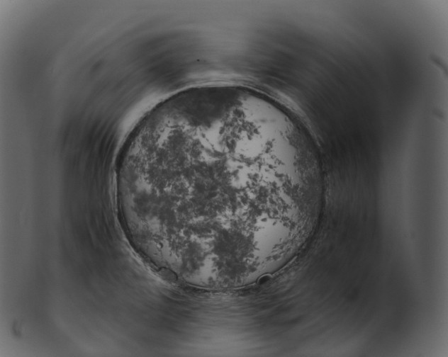 X0000100491472200807031904