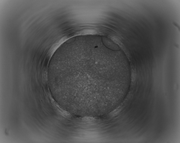 X0000100491473200807031904