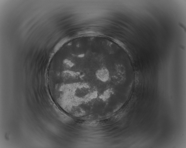 X0000100491474200807031904