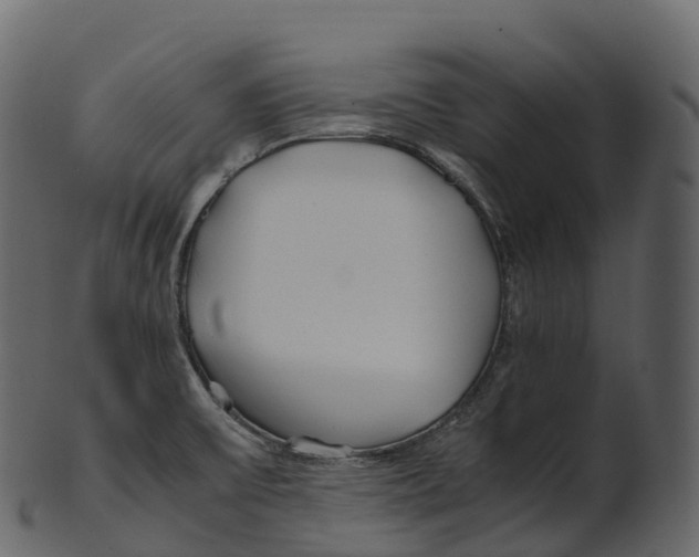 X0000100491475200807031904