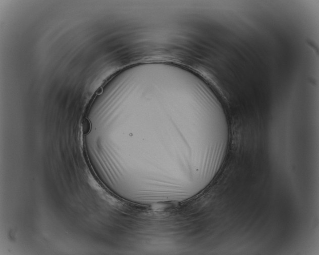 X0000100491476200807031904